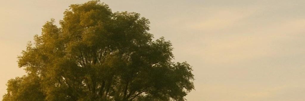 Kpop29's profile banner image