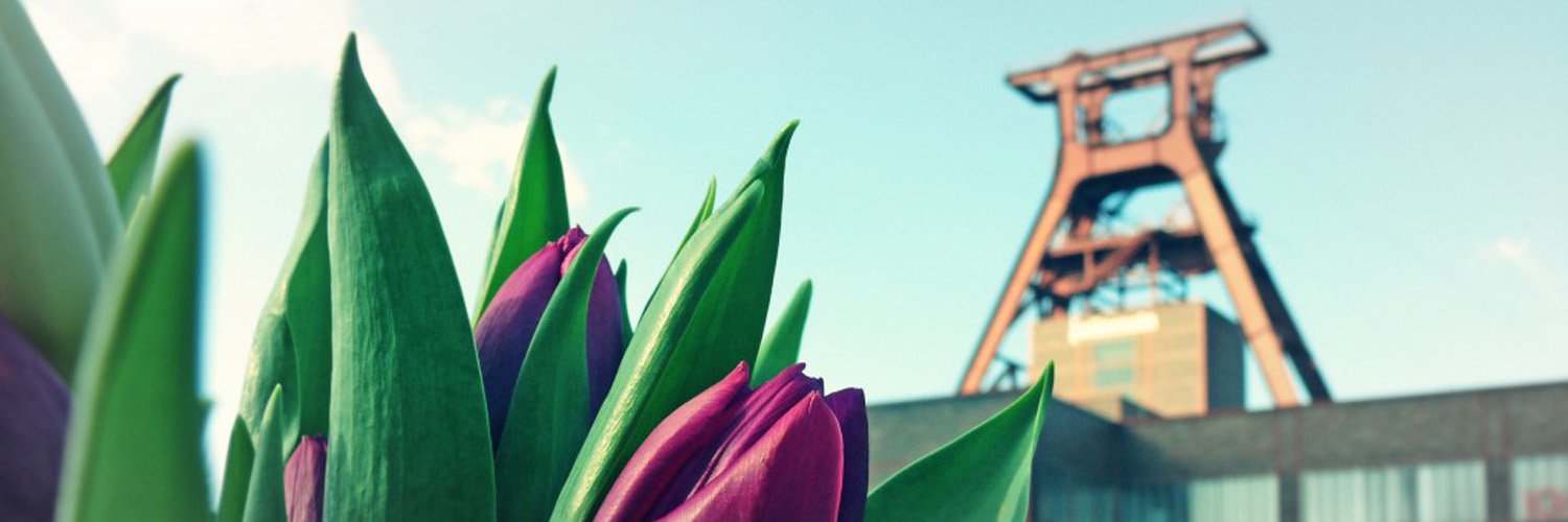 langtext's profile banner image