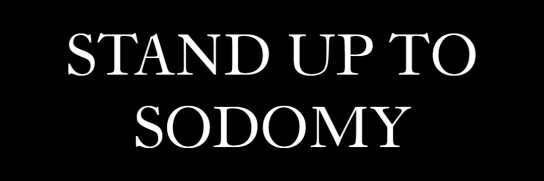 AntiSodomyBNP's profile banner image