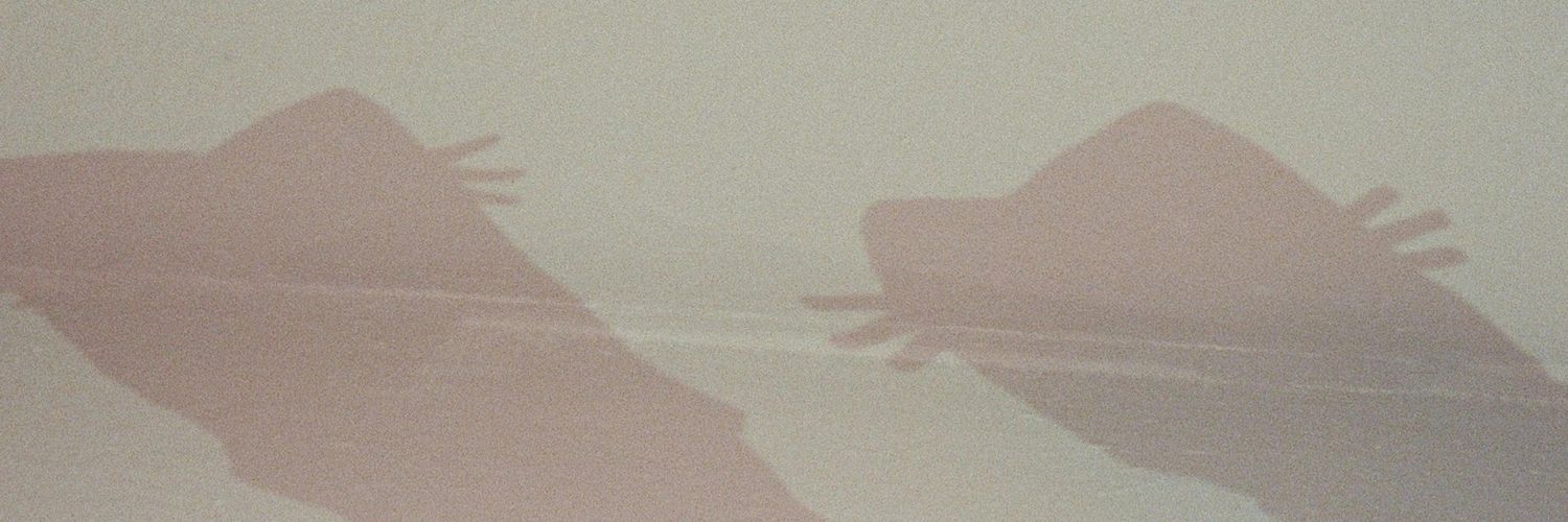 Del | ruirui ♡ banner