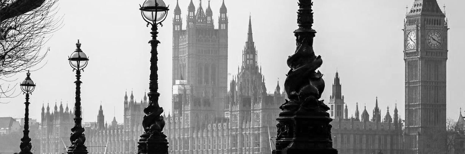 𝗠𝗮𝗱𝗮𝗺 𝗠𝗮𝘆𝗼𝗿 banner