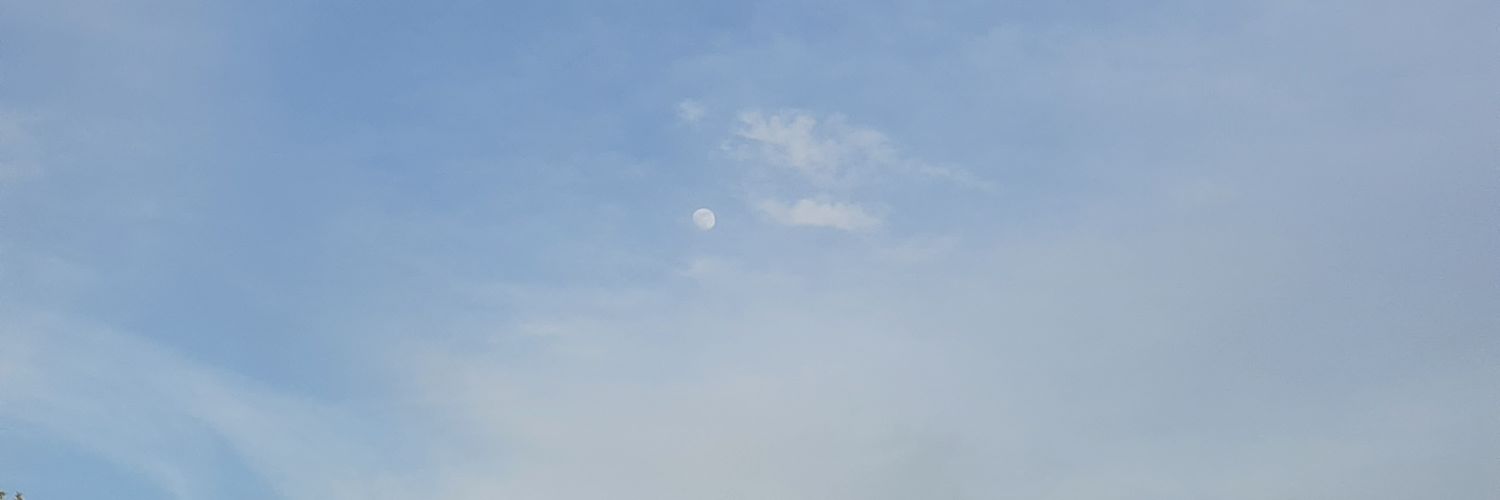 ny_smiles1's profile banner image