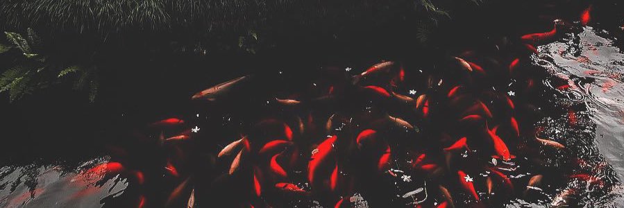 __emlc__'s profile banner image