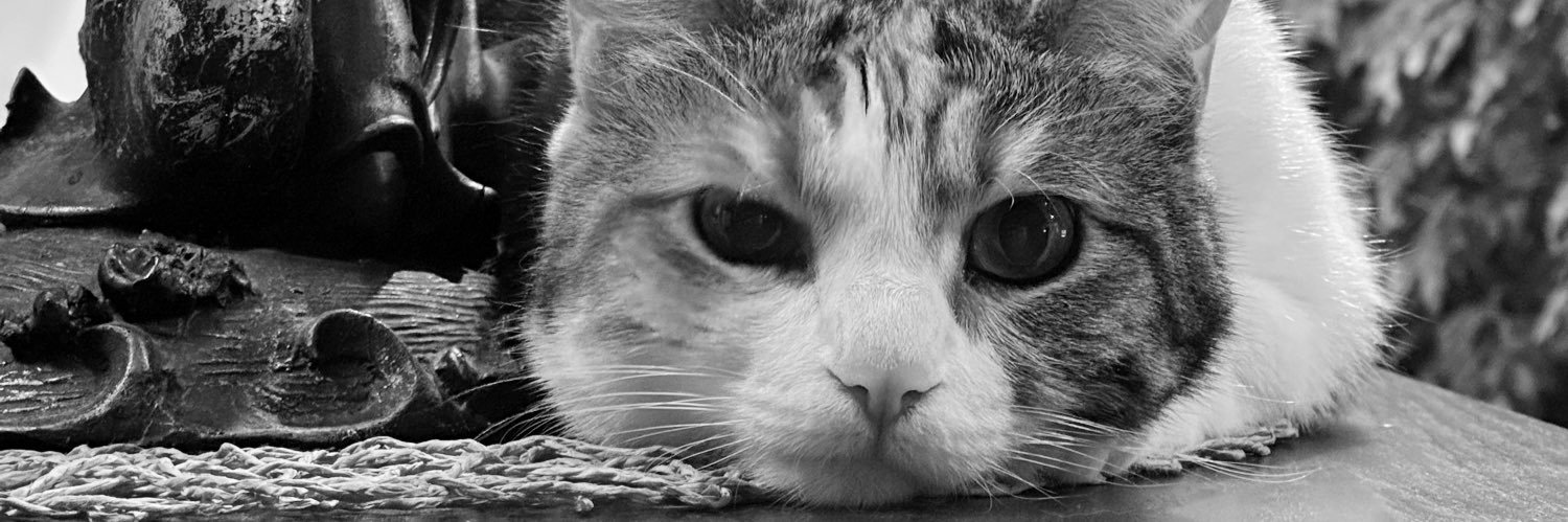 _shyron__'s profile banner image