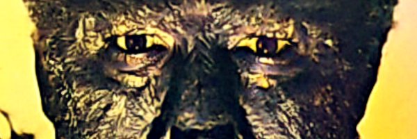 fm_forryever Profile Banner