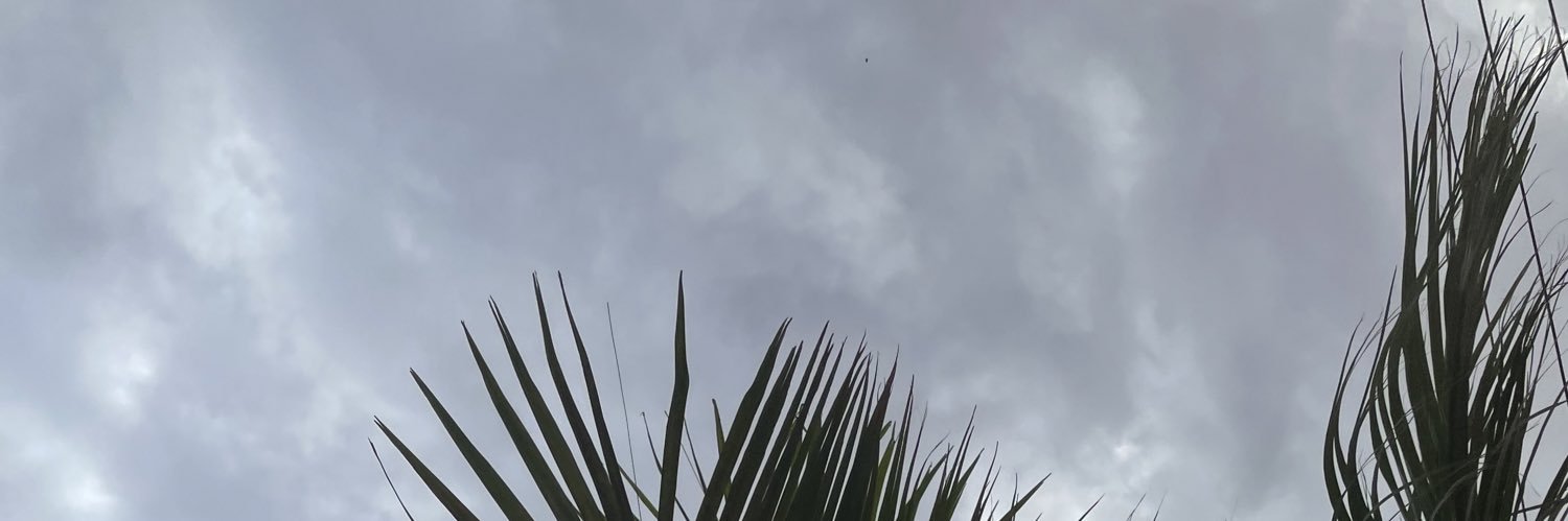 princessaeso's profile banner image