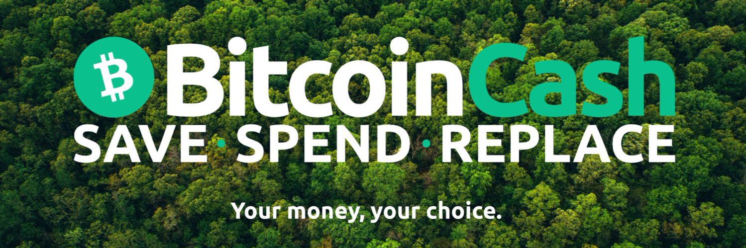 Bitcoin Cash (BCH) banner