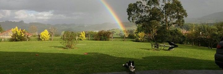 Leire Iturregui banner