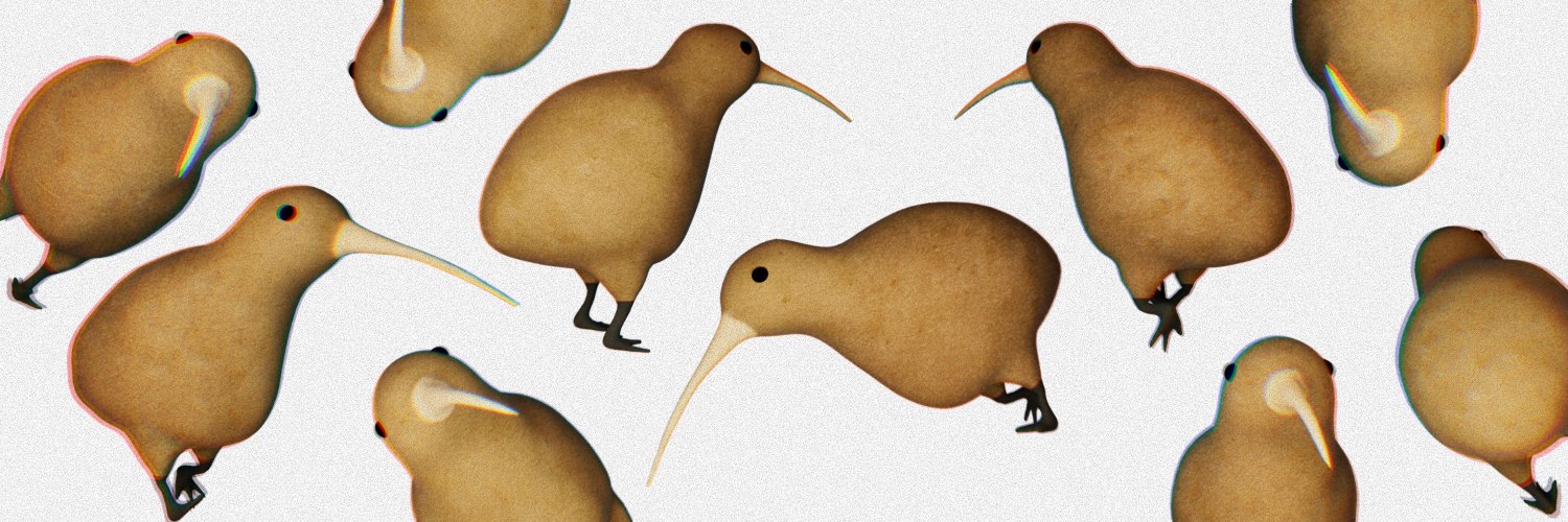 Might Fly banner