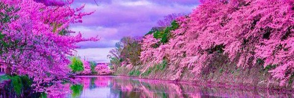 mariadieke Profile Banner