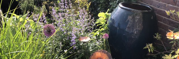 VauxEmma Profile Banner