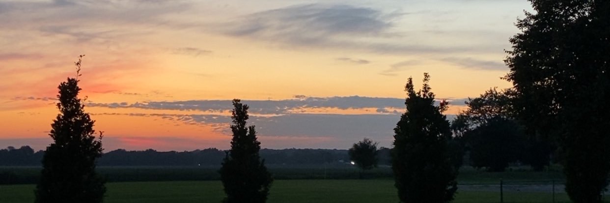 Abdullah Al-Munayei banner