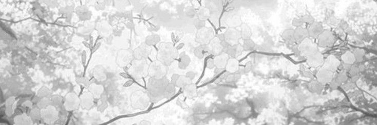 рим (?) banner