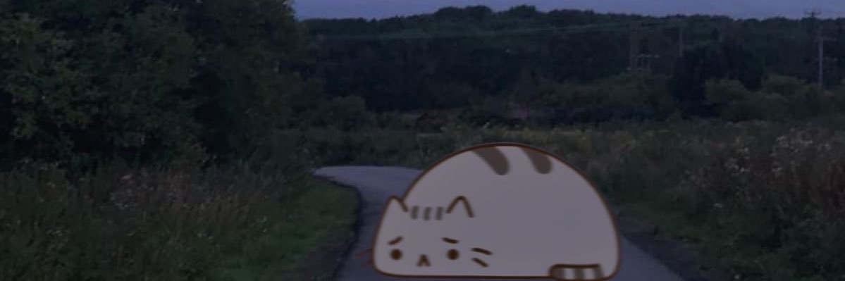 illiisions; shtwt banner