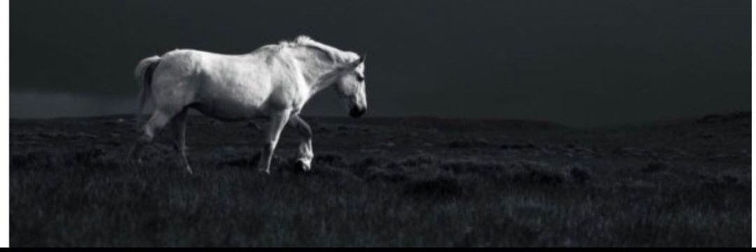 JeanRomanik1m's profile banner image