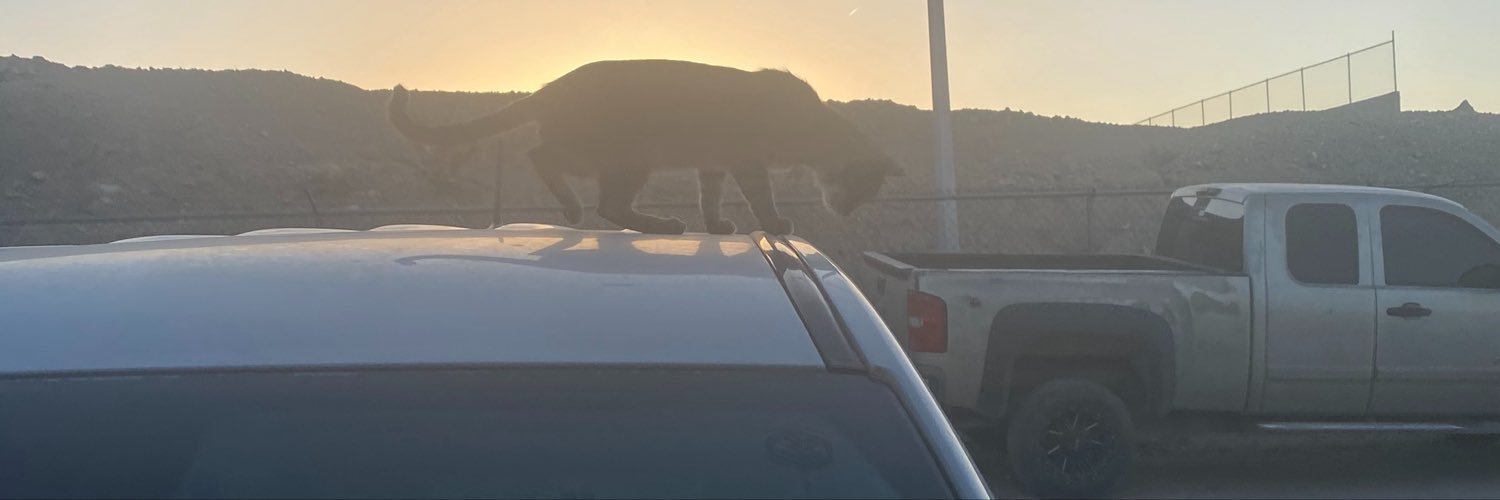 Flzxx4y's profile banner image