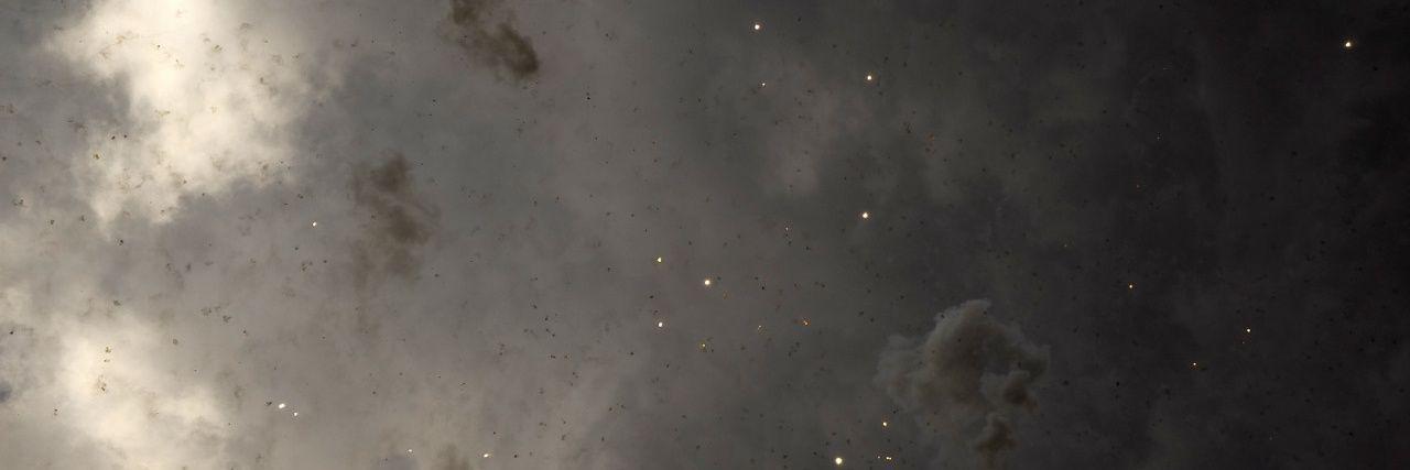 Catttth_'s profile banner image
