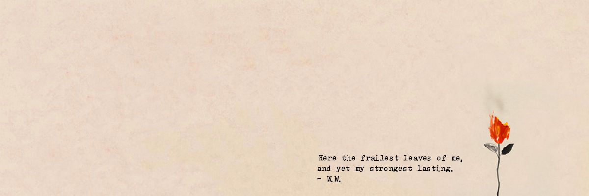 pertheath's profile banner image