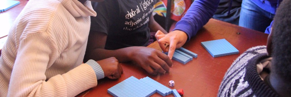 Diversify Learning - Nazli Ighani ( she/her) banner