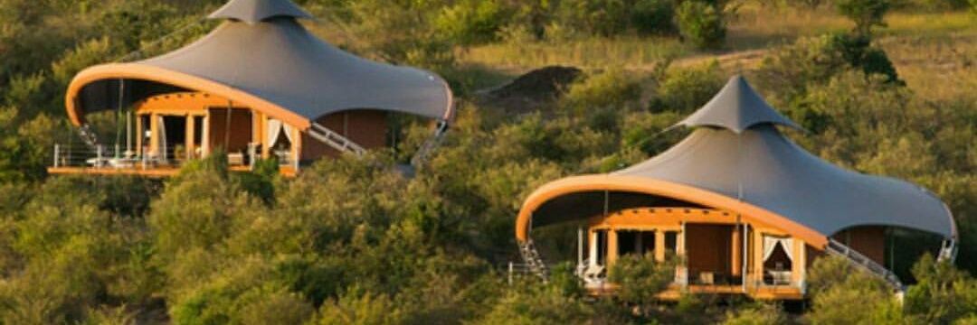 Milton chitadu banner