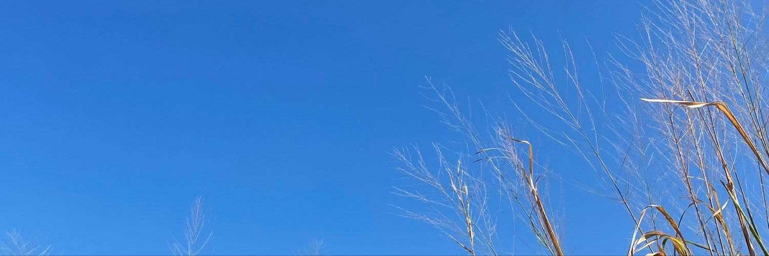 _YYZic8277's profile banner image