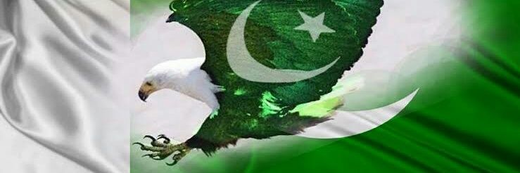 Pro___Pakistani's profile banner image