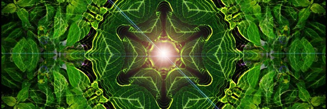 Saint Brian's Personal Purgatory banner