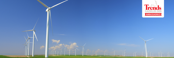 Wikipower_ Profile Banner