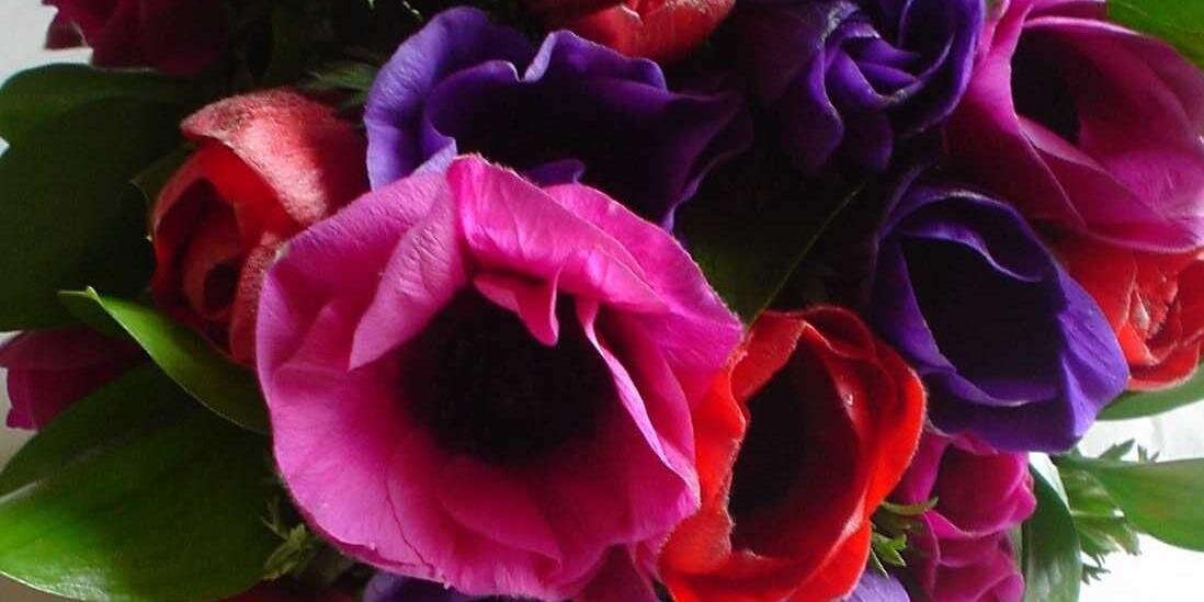 RuthatStem's profile banner image