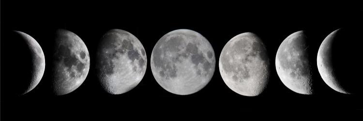 Mona Kabbani | THE COLOR OF BLOOD OUT NOW! banner