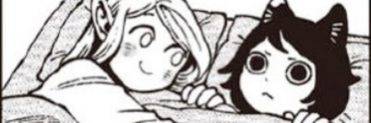 Zamir | VT banner