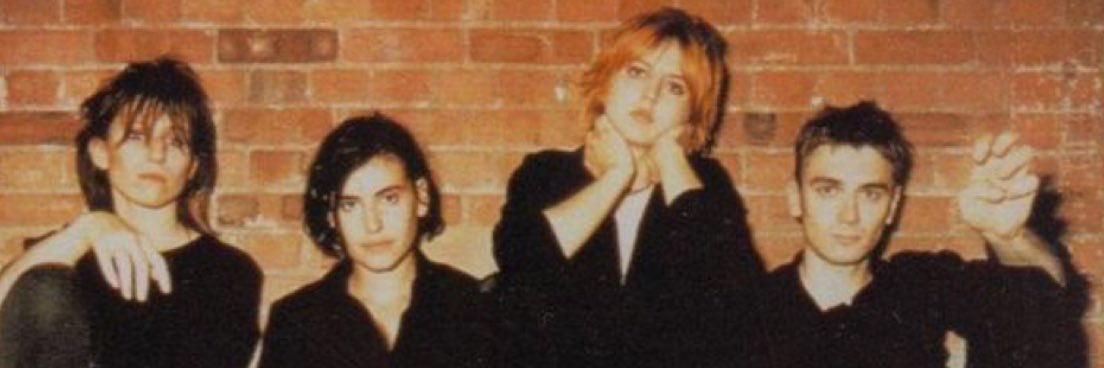 Elastica Updates banner