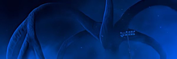 wsqksquawk Profile Banner