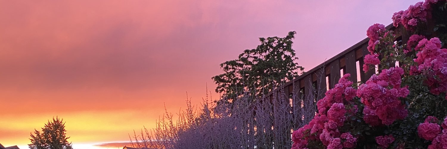 Rubynaaaa's profile banner image
