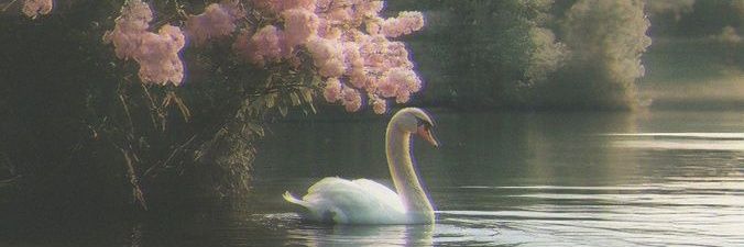 أم بكر الرازي banner