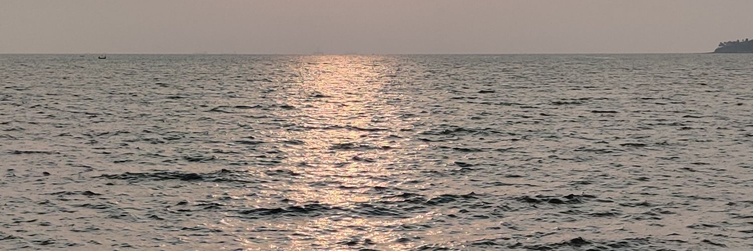 sicmvdvs's profile banner image