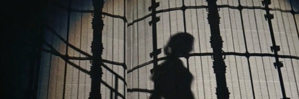 sideofruka Profile Banner