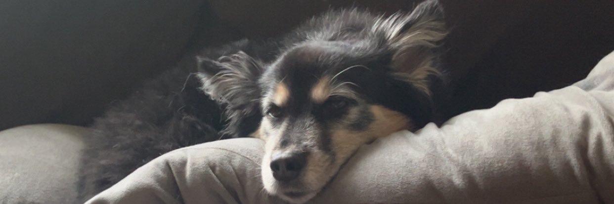 Jake banner