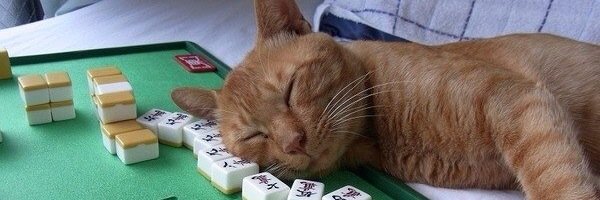 emitypeA's profile banner image