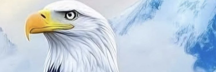 eyadhany84's profile banner image