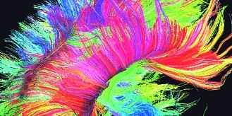 ADT@burnhamgrammarschool banner