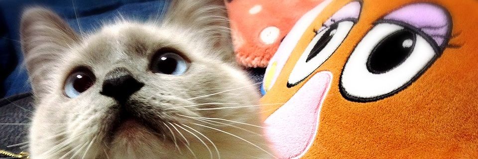 maronyago's profile banner image