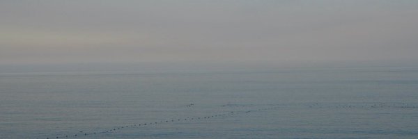 ____PEI__ Profile Banner