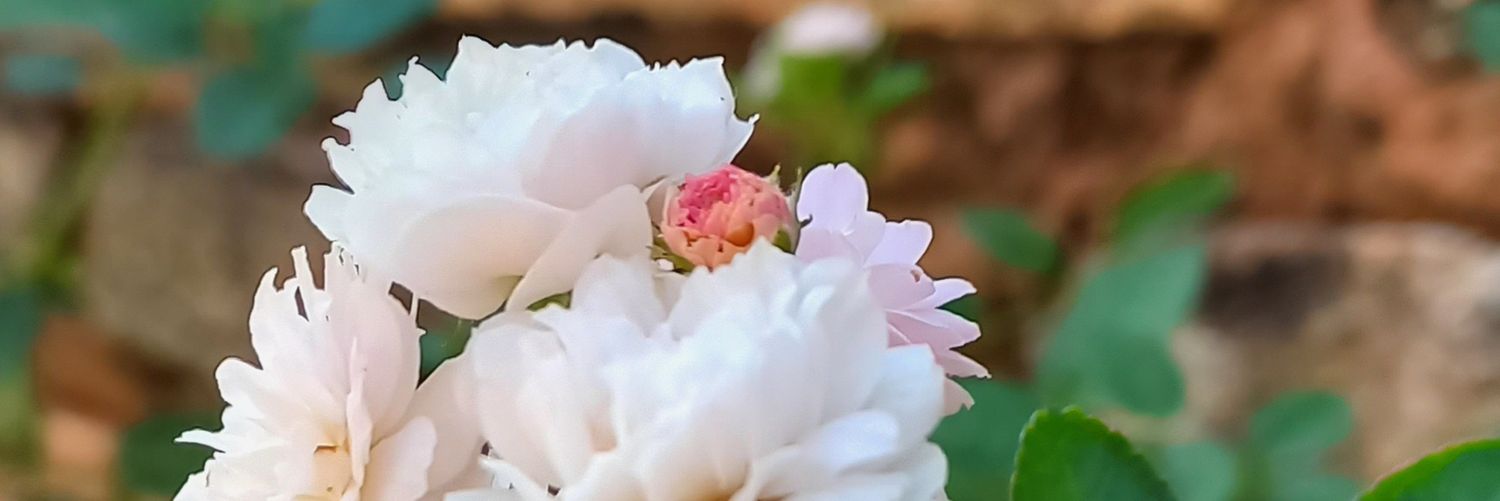 luh_mendeees's profile banner image