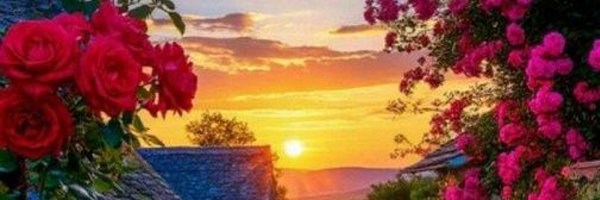 Hili9n Profile Banner