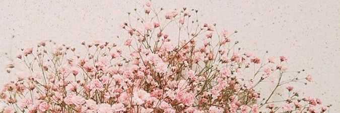 xarantols's profile banner image