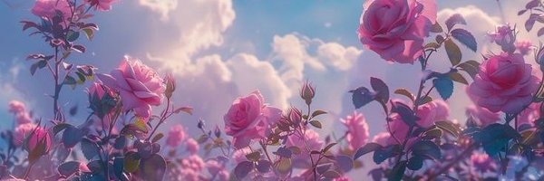 yuge_ts's profile banner image