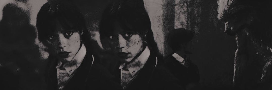 ᅟᅟ𝖋𝖚𝖑𝖑 𝖔𝖋 𝖜𝖔𝖊 . ⁺‧₊☽ banner