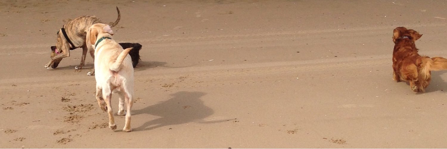 KayNelson43's profile banner image