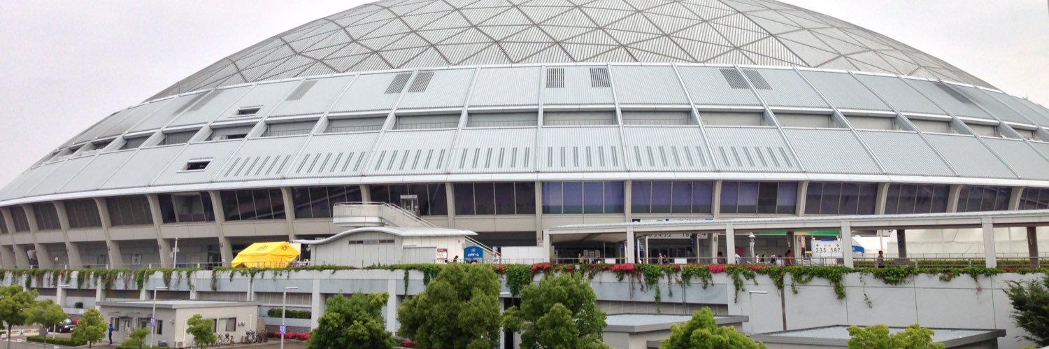 ドラ党🐉（& Politics） banner